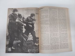 Asterix y las nucleares