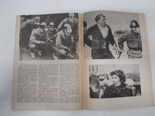 Asterix y las nucleares