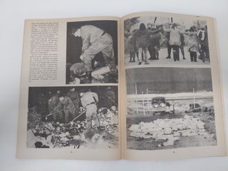 Asterix y las nucleares