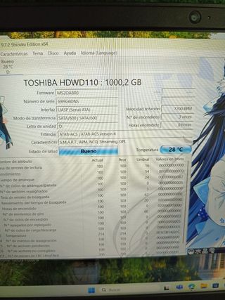 Disco Duro Toshiba P300 1TB 7200RPM SATA