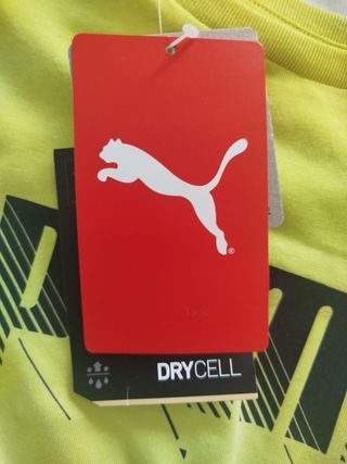 Maglietta Puma Verde Taglia 11-12 Bambini