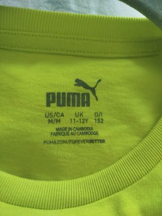Maglietta Puma Verde Taglia 11-12 Bambini
