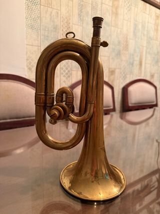 Corneta Honsuy Carmen Brillante