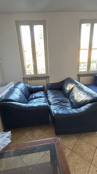 Divani Poltrona Frau Pelle Blu