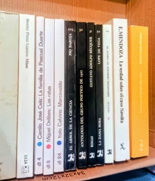 Lote de literatura de siempre