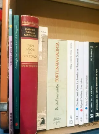 Lote de literatura de siempre