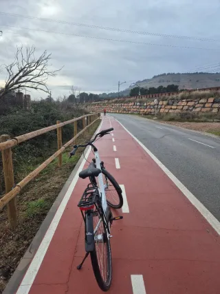 Bicicleta de paseo
