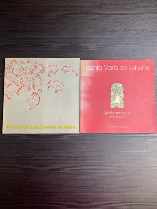 Lote 2 libros de historia