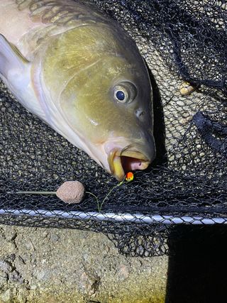 10 Bolsas PVA listas para pesca