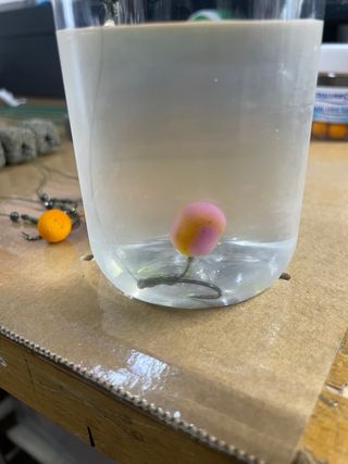 10 Bolsas PVA listas para pesca