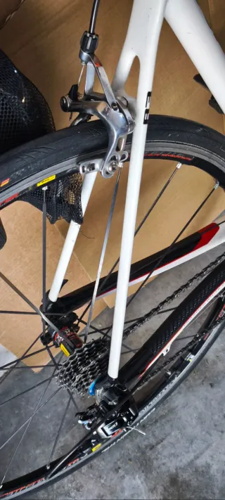 Bici Cervelo Carbonio Misura 56