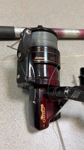 Caña de pescar con carrete