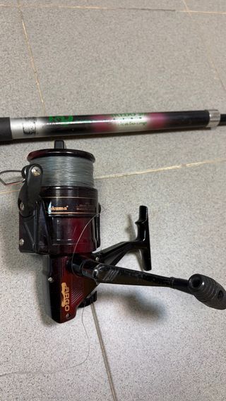 Caña de pescar con carrete