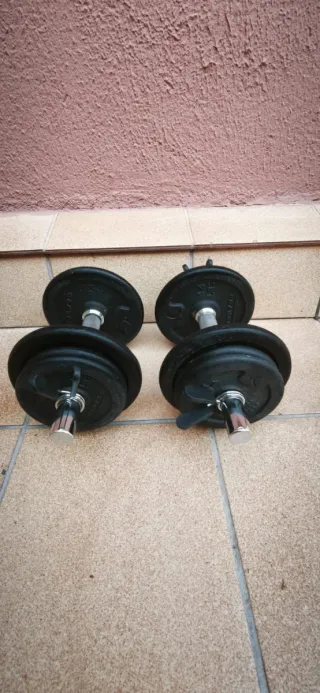 Juego de Pesas Ajustables