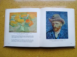 Van Gogh (Edición Albert Skira) + regalo