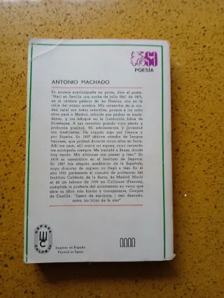 Van Gogh (Edición Albert Skira) + regalo