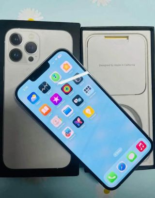 iPhone 13 Pro Max Blanco