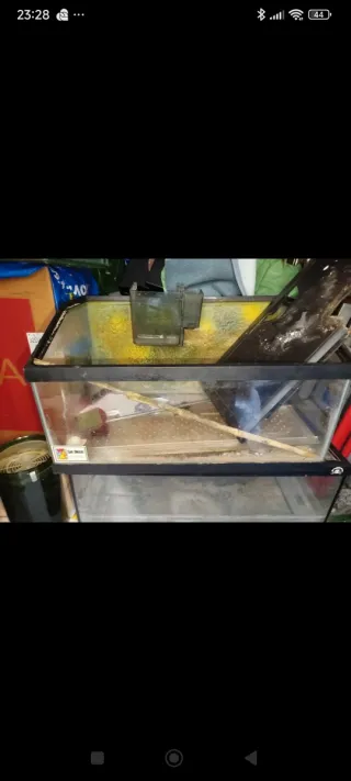 Filtro Eheim 600 para acuario