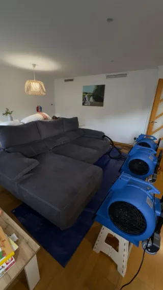 Limpieza y Desinfección Profesional de tapizados