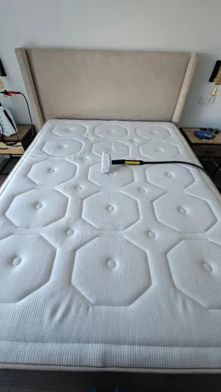 Limpieza y Desinfección Profesional de tapizados