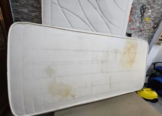 Limpieza y Desinfección Profesional de tapizados