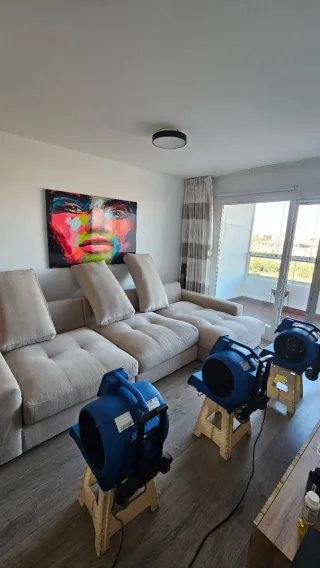 Limpieza y Desinfección Profesional de tapizados