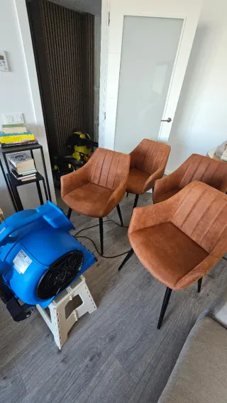 Limpieza y Desinfección Profesional de tapizados