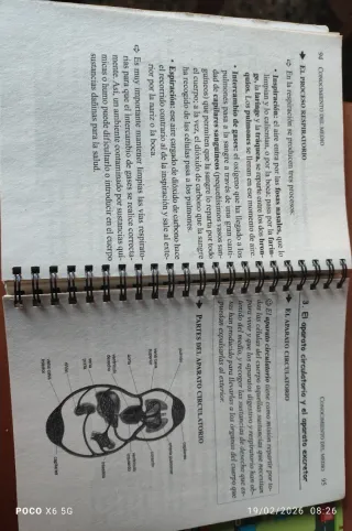 6º de Primaria fácil. Libro de Contenidos