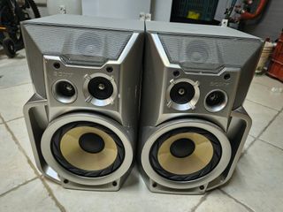 Casse SONY SS-RXD7S - Potenza e Bassi da 8 Ohm