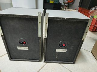 Casse SONY SS-RXD7S - Potenza e Bassi da 8 Ohm