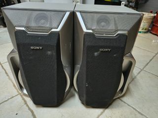 Casse SONY SS-RXD7S - Potenza e Bassi da 8 Ohm