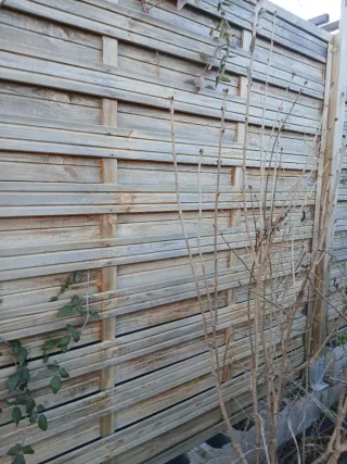 10 Paneles de Ocultación de Madera