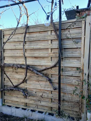 10 Paneles de Ocultación de Madera