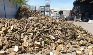 Leña de naranjo para chimenea