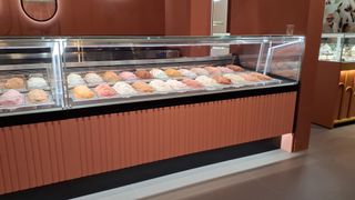 PROYECTOS HELADOS HELADERIA HELADOS