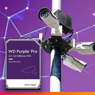 WD Purple Pro 12TB Disco Duro Interno