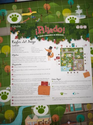 Juego de mesa Pillado! Lúdilo