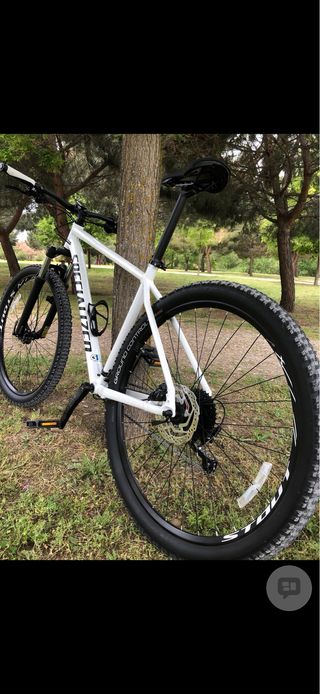 Bici MTB Specialized 29 Talla XL