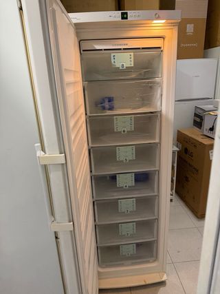 CONGELADOR LIEBHERR NOFROST SEGUNDAMANO