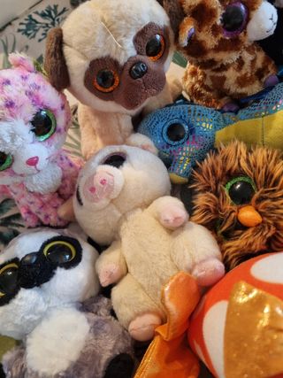 Lotto peluche TY animali vari