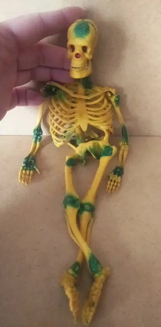 Antiguo Esqueleto PVC