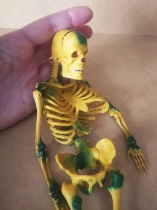 Antiguo Esqueleto PVC