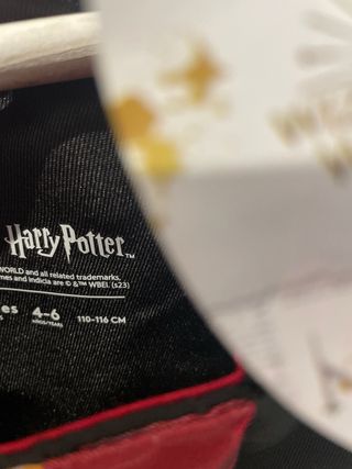 Disfraz Harry Potter Gryffindor