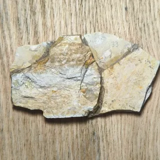 FOSIL DE PEZ EN PIEDRA