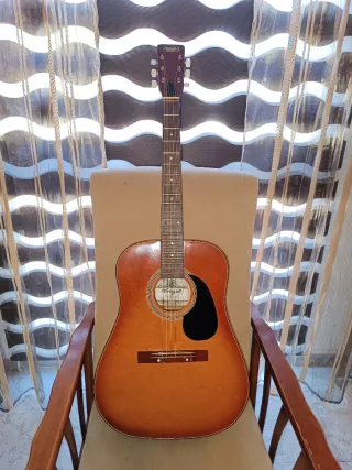 Guitarra Acústica Horugel.