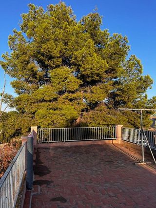 Chalet en venta en La Algoda - Matola - El Pla en Elche