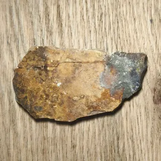 FOSIL DE PEZ EN PIEDRA