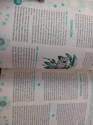 1000 trucos de jardineria