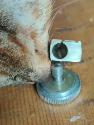 Temperino vintage anni '50