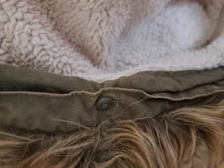 Parka Springfield verde militar con capucha